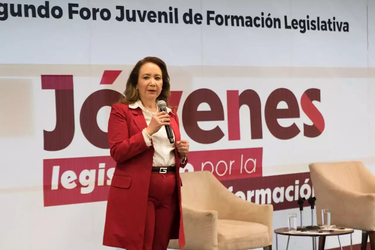 Yasmín Esquivel debe renunciar a la Corte: consejo de abogados