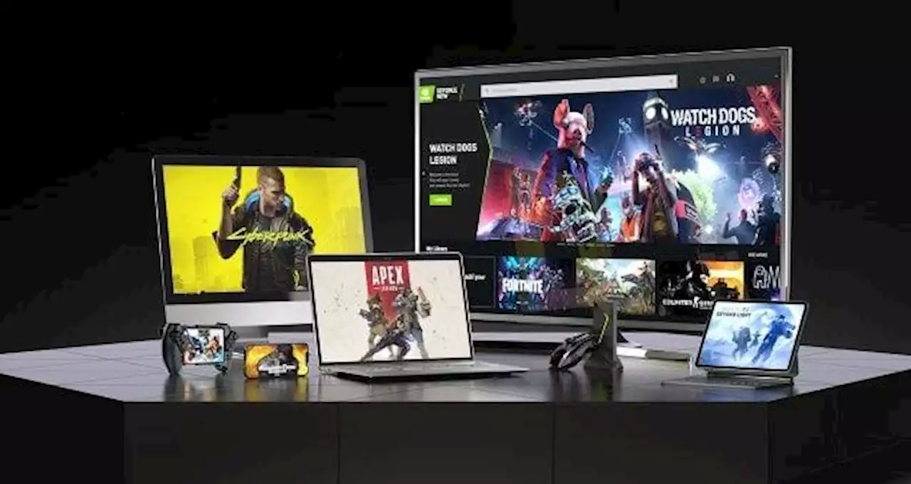 Geforce Experience und Geforce Now durch Glitch blockiert, Nvidia arbeitet an Lösung