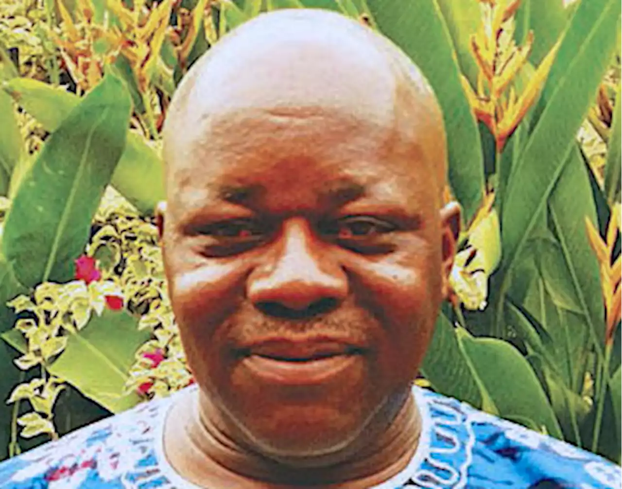 Policy making as make belief, By Jibrin Ibrahim