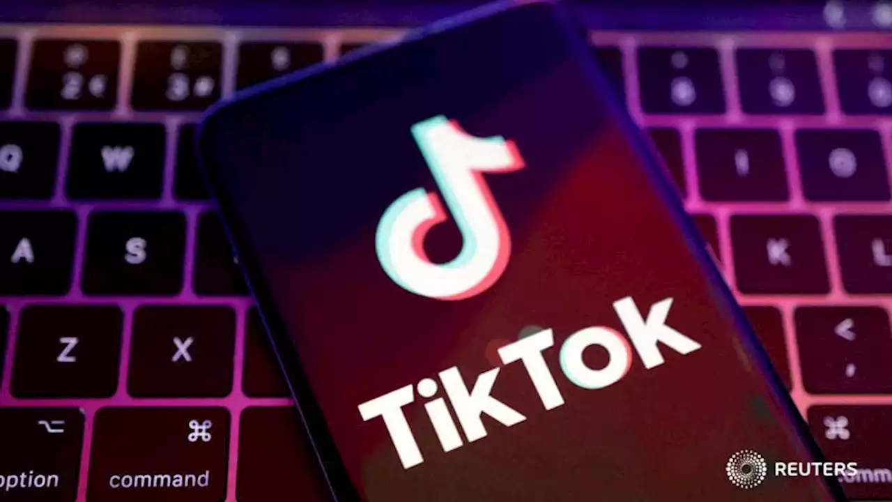 Wisconsin, North Carolina ban TikTok from state devices on security concerns