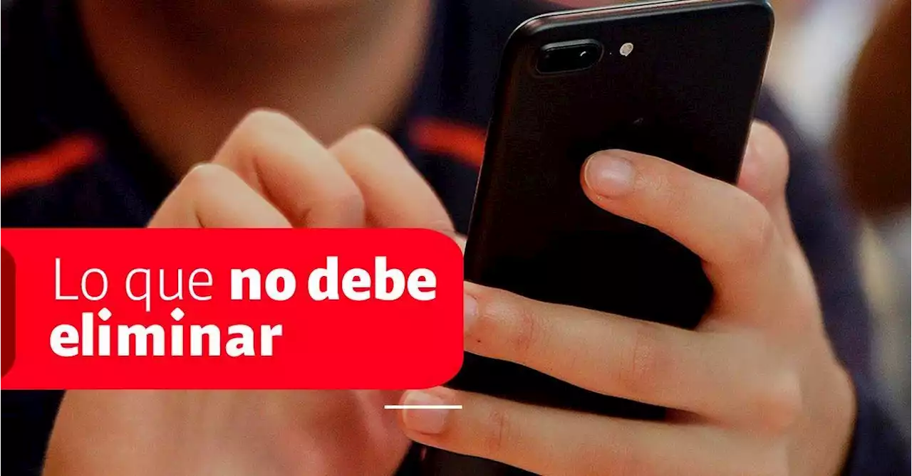 Estas son las carpetas de los celulares Android que no se deben borrar jamás