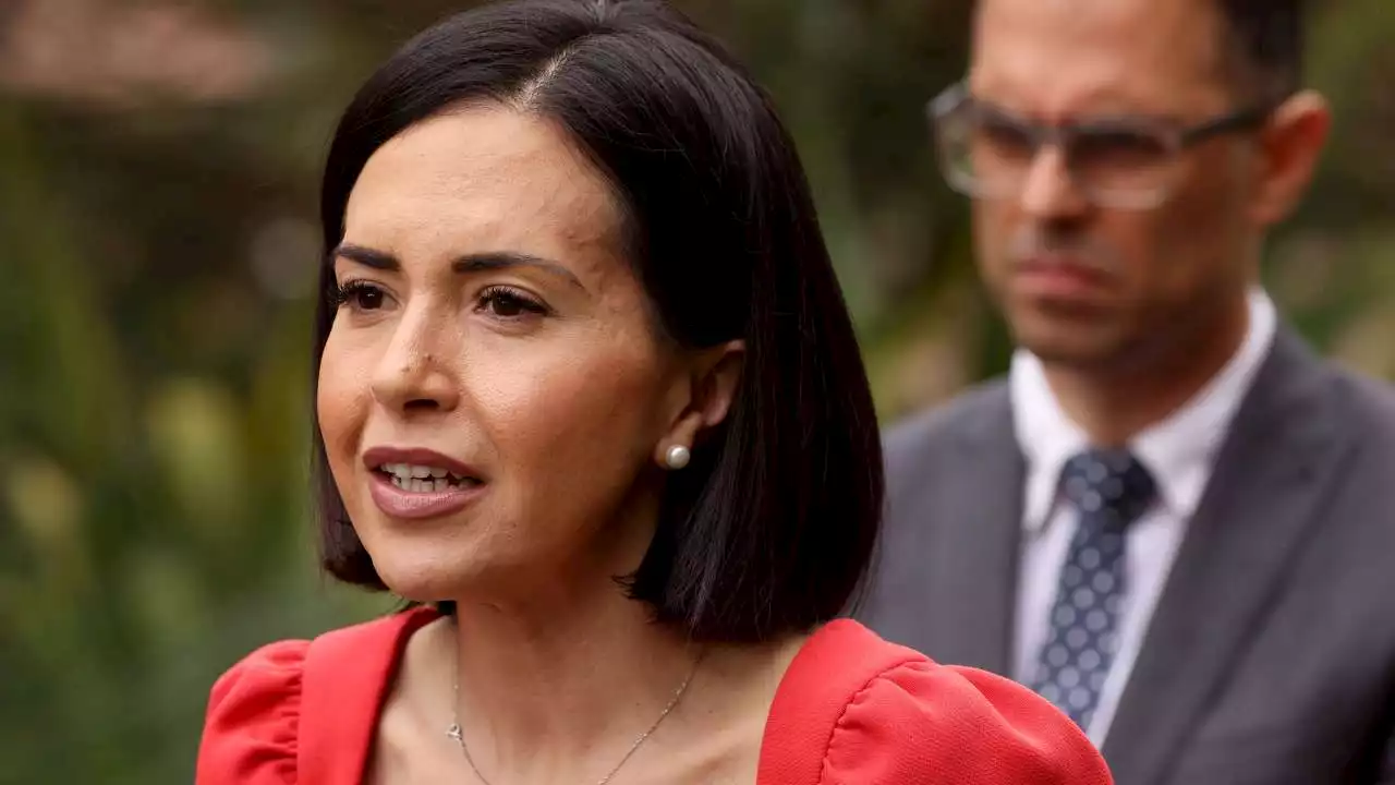 'Chaos': NSW Labor hits out at Perrottet Government