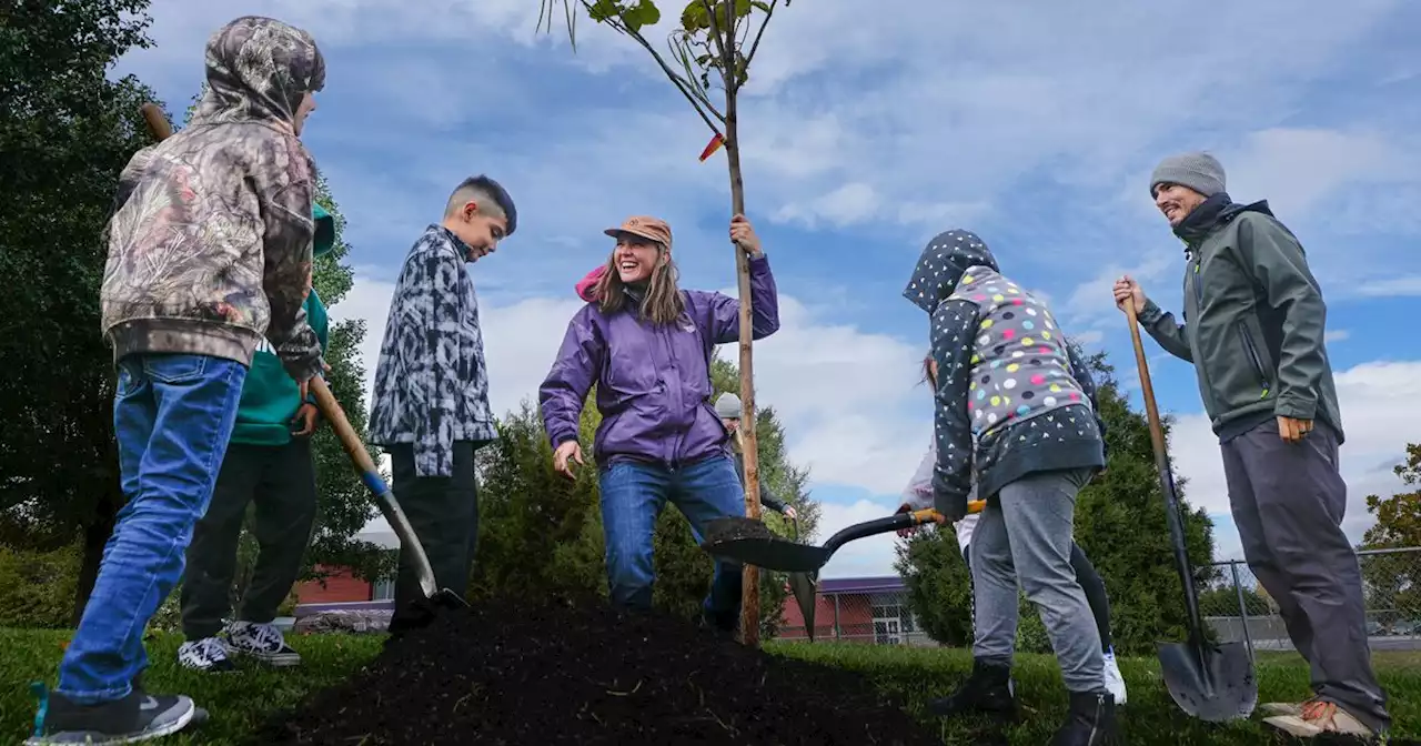 Lingxi Chenyang: Carbon offsets should also make communities more resilient to climate change