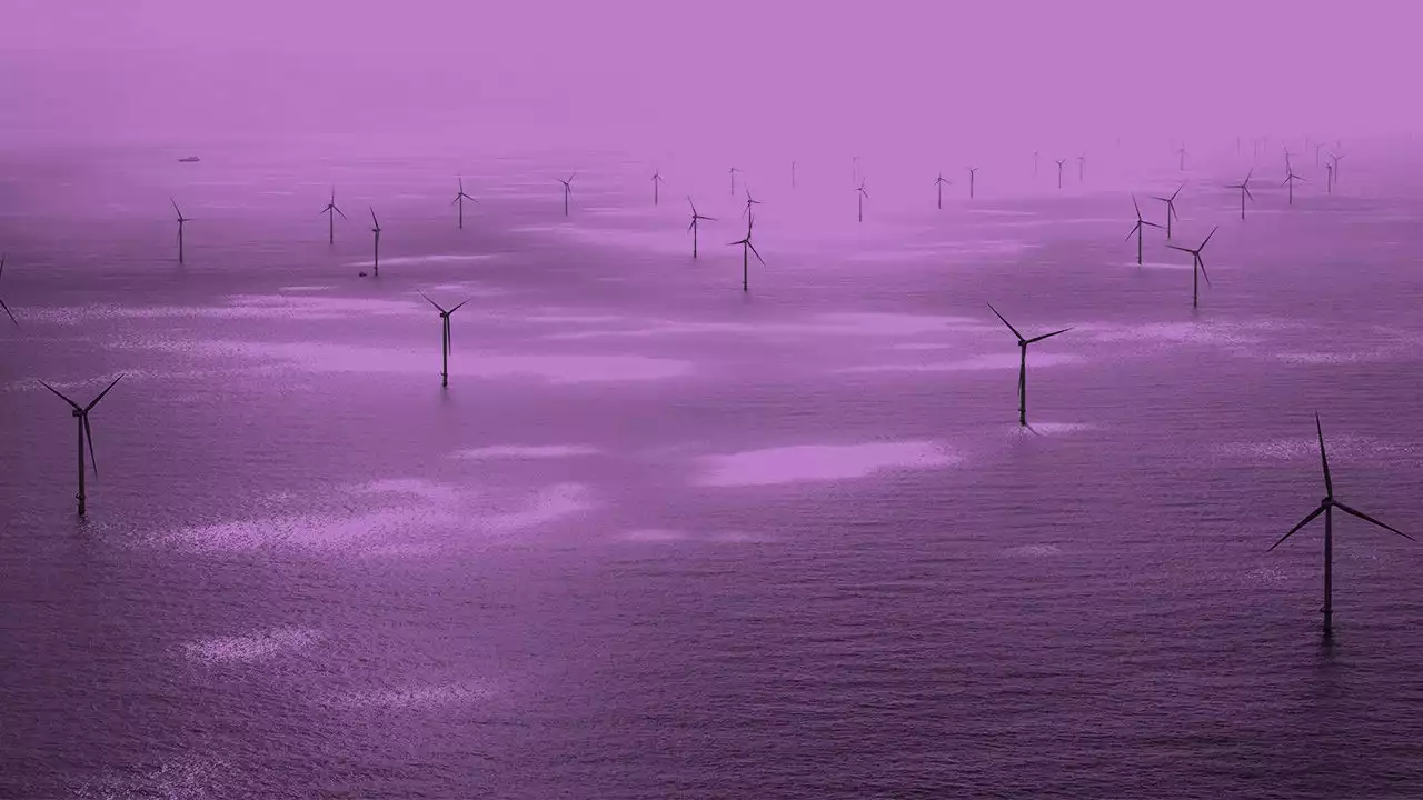 How the North Sea’s bad weather is fuelling a new green economy