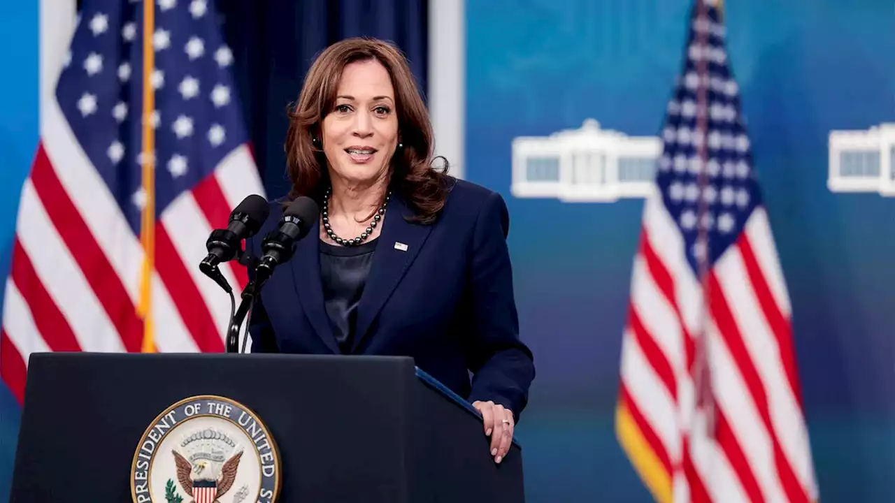 Kamala Harris Assures Public No One Has Given Her Single Classified Document