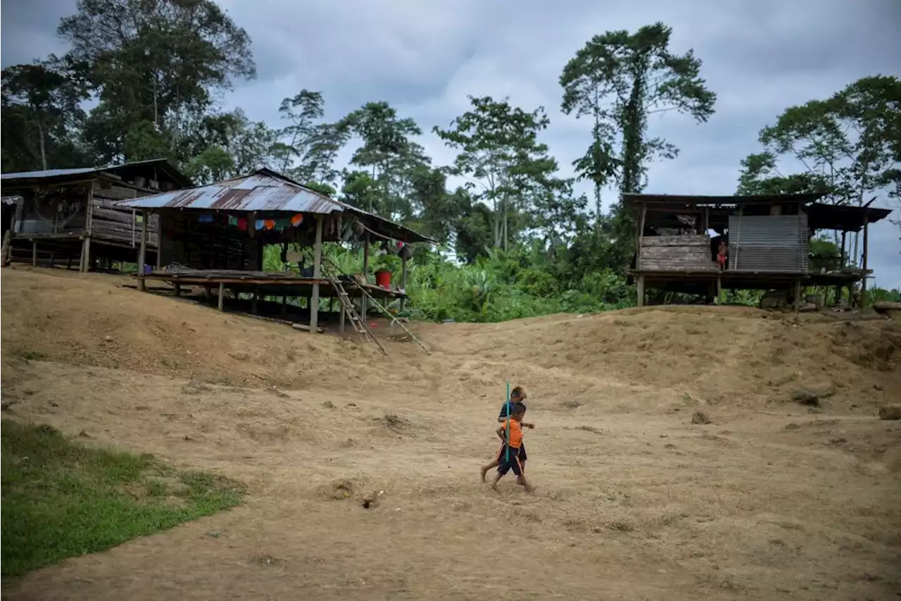 ONG sobre los niños en el Guaviare: “les dan bóxer cuando ya no aguantan el hambre”