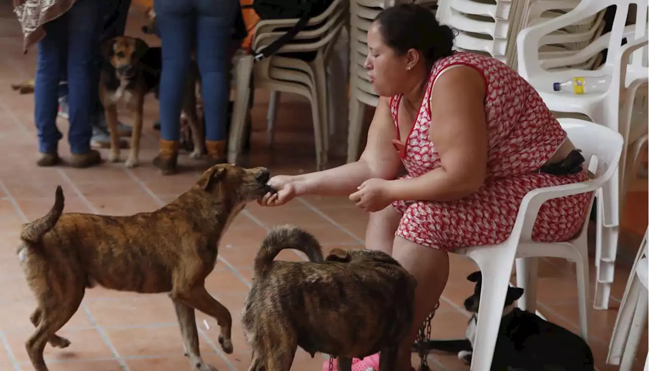 La mujer a la que sus 4 perros le salvaron la vida tras avalancha en Cauca