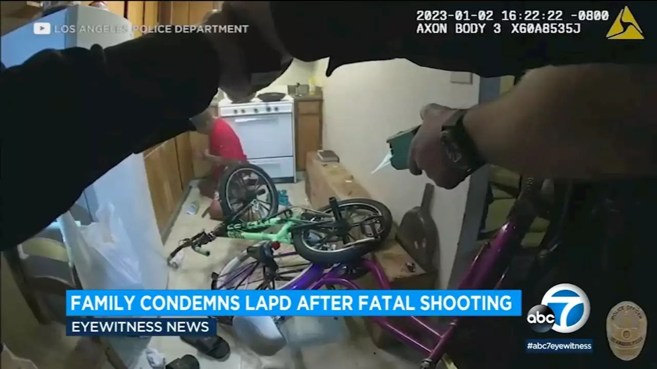 LAPD facing likely suit over fatal shooting of man with knife undergoing mental crisis