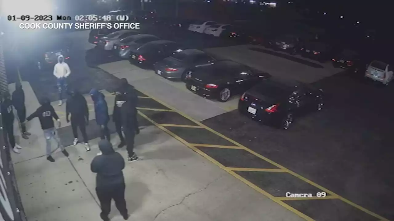 Surveillance video shows team of thieves stealing 6 luxury vehicles from Roselle car dealership