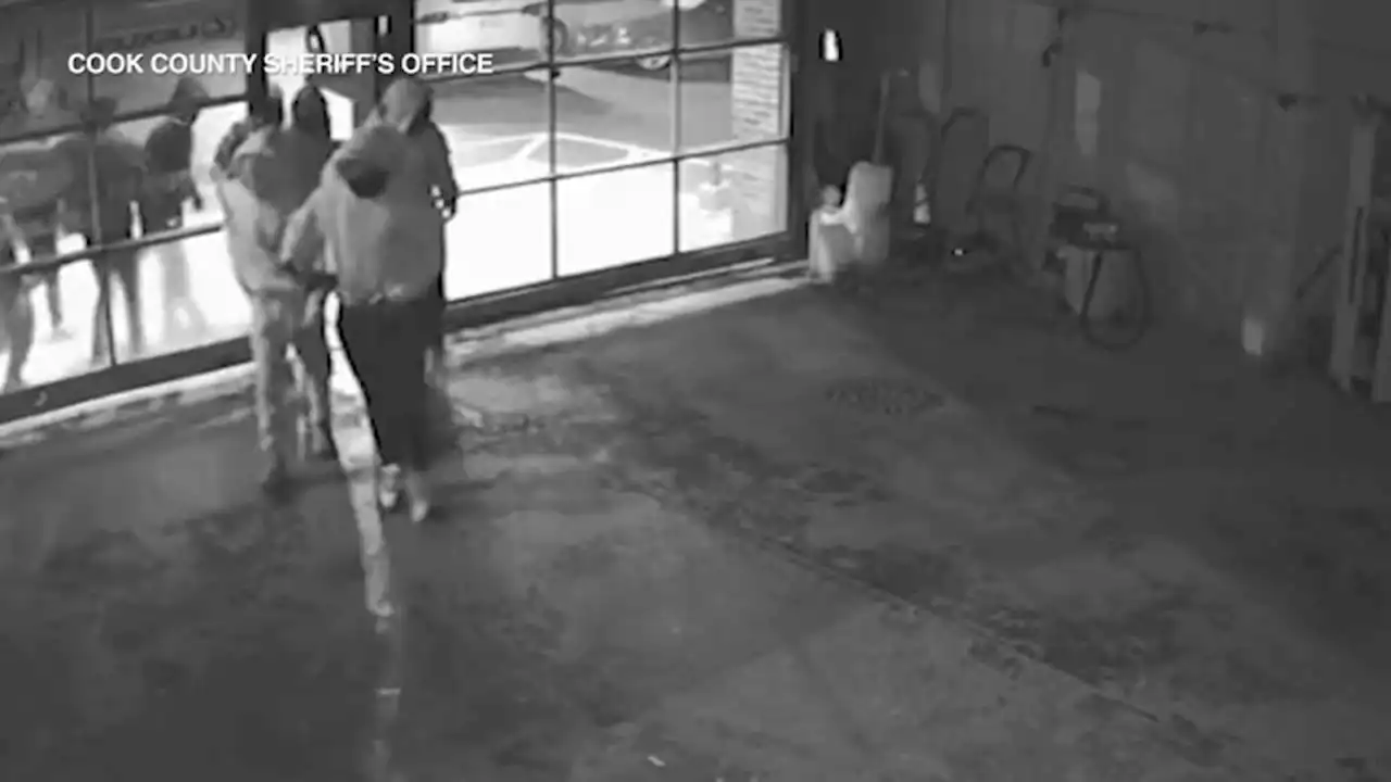 Team of burglars caught on camera stealing 6 luxury vehicles from Roselle car dealership