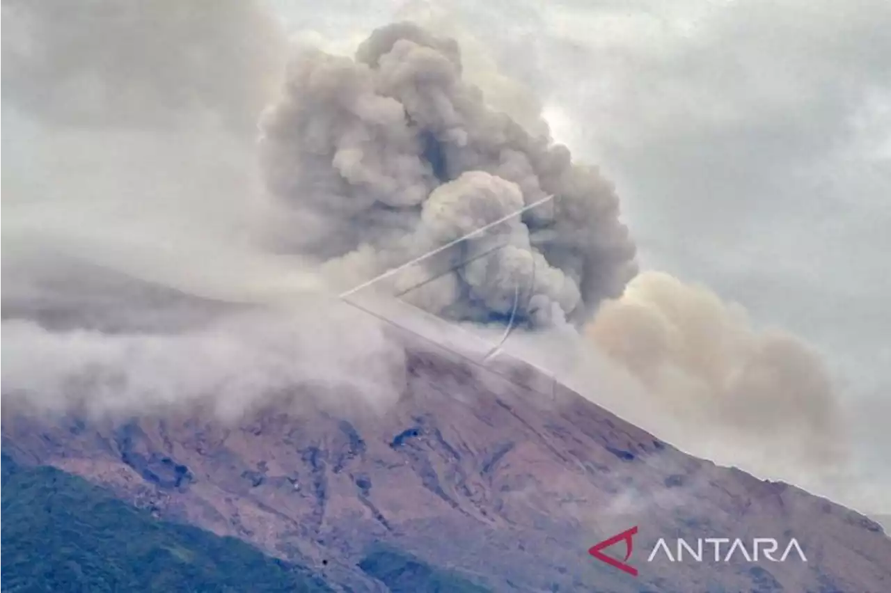 Banyak tanaman milik petani di Solok Selatan rusak akibat abu vulkanis