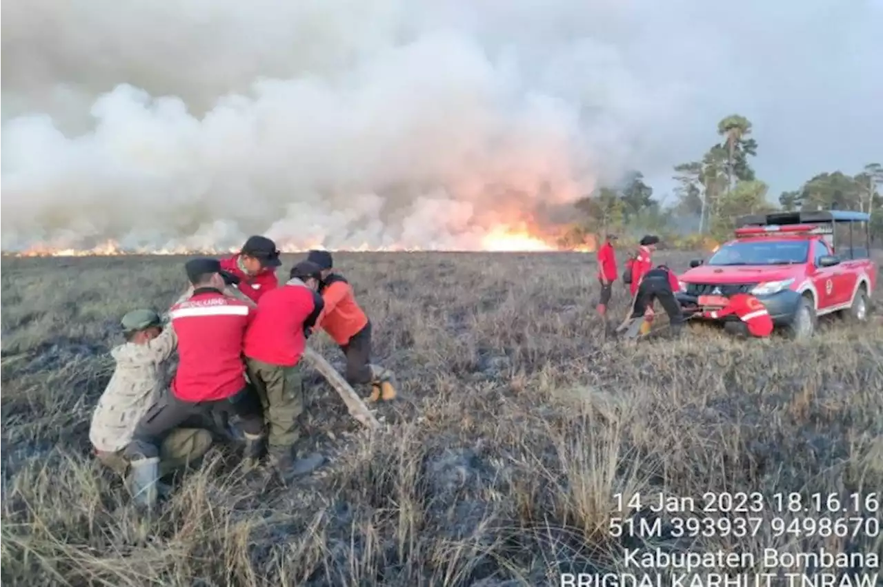 Kawasan savana Taman Nasional RAW di Konawe Selatan terbakar