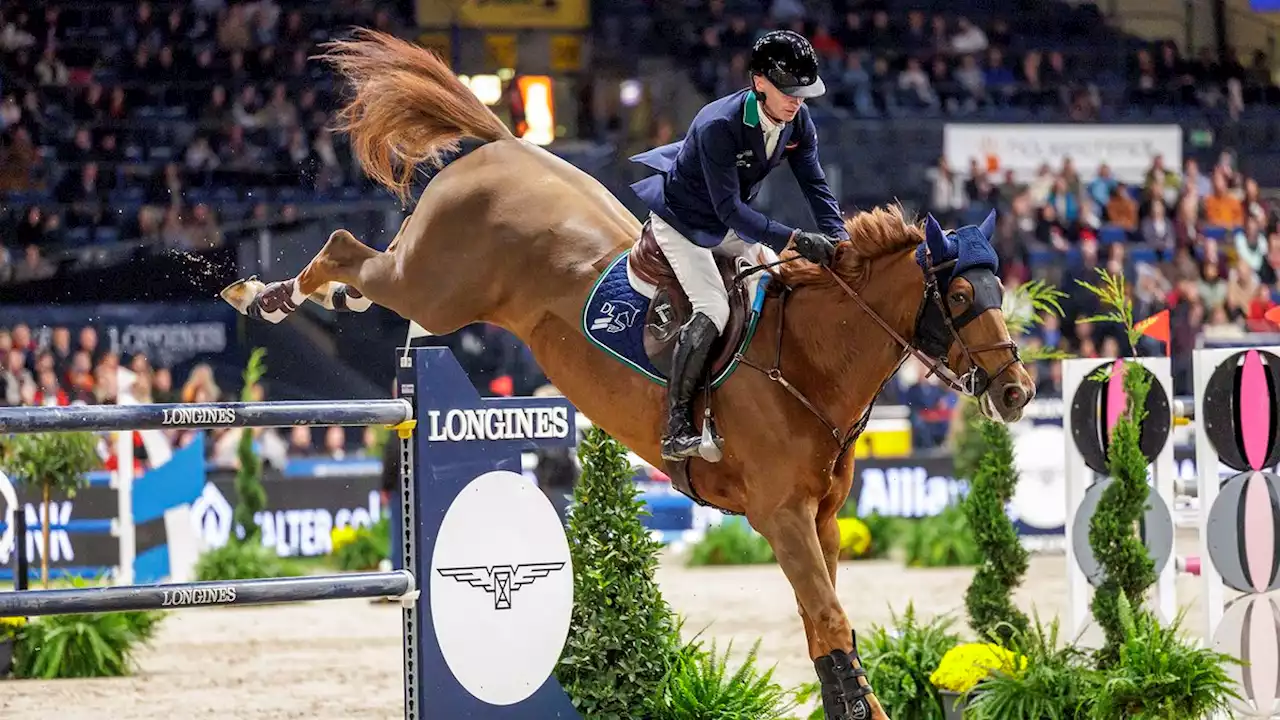 Reiten: China klont erstes Pferd für den Sport