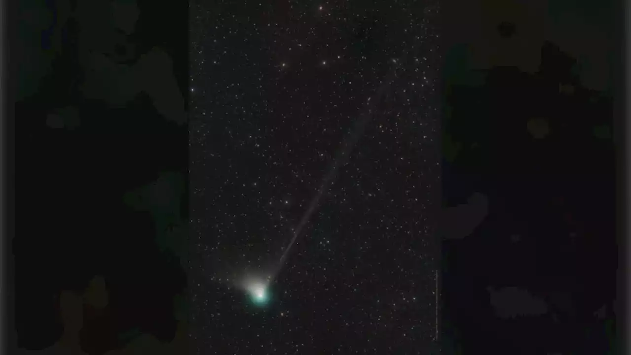 A rare green comet will soon approach Earth for first time in 50,000 years