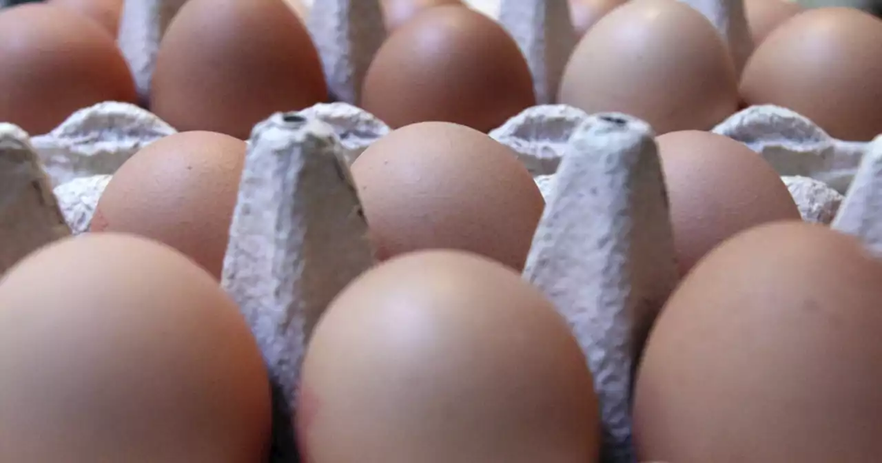 Egg prices spike nationwide thanks to bird flu