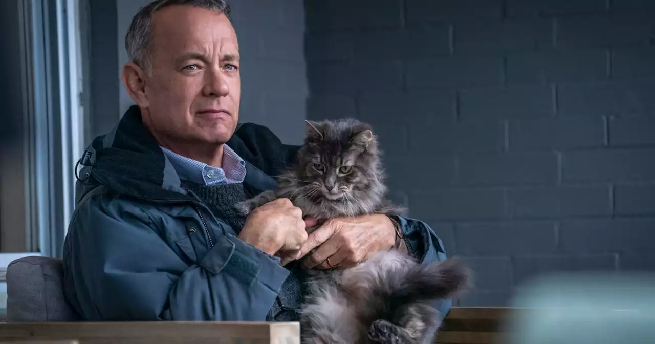 A Man Called Otto review: Tom Hanks anchors a sweet drama | Digital Trends