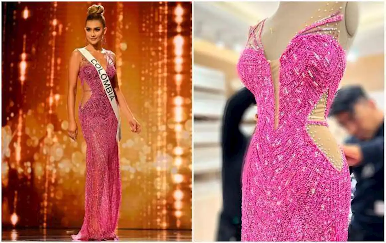 La historia del vestido de gala que lució la reina de Colombia en Miss Universo