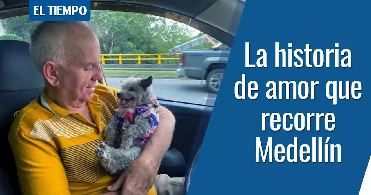 Don Rodrigo y su perra Lola, la tierna historia que recorre calles de Medellín