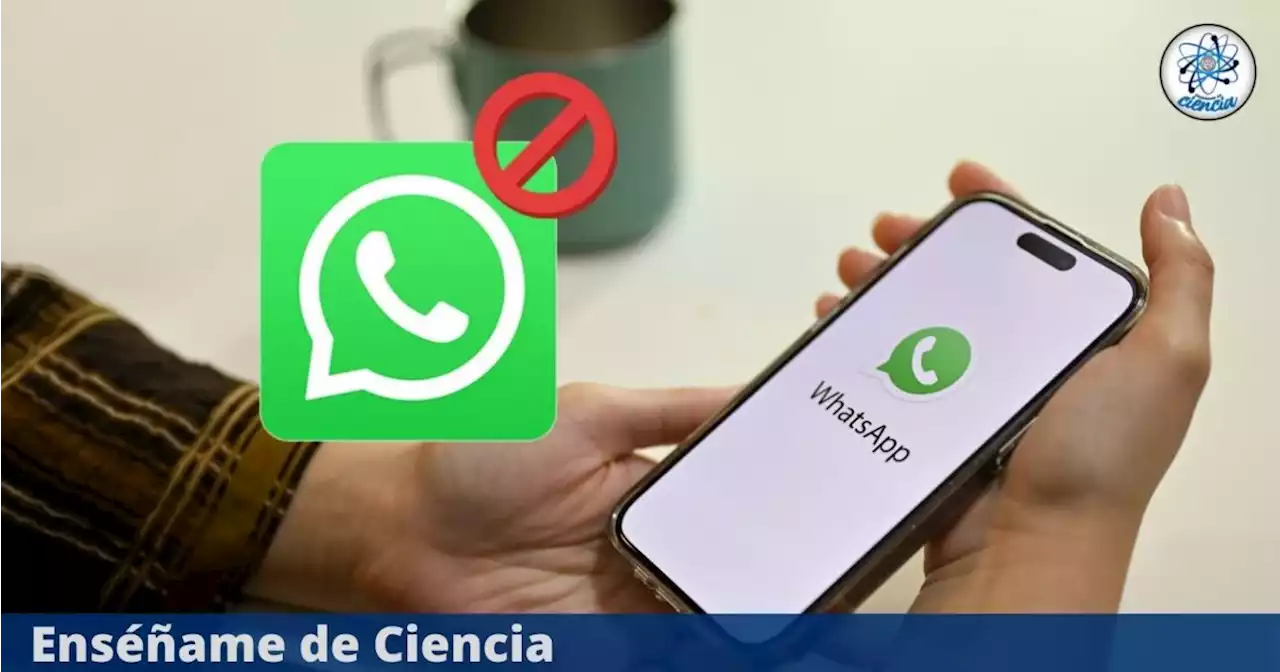 WhatsApp implementa la posibilidad de bloquear a un contacto desde las notificaciones