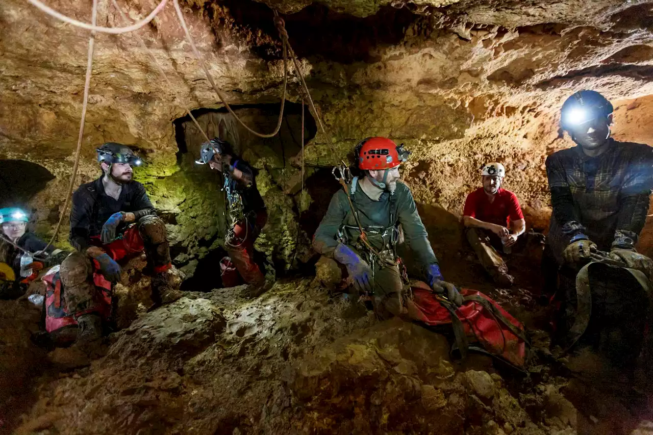 Cavers brave claustrophobic passageways and the dark for cat history at Natural Bridge Caverns.