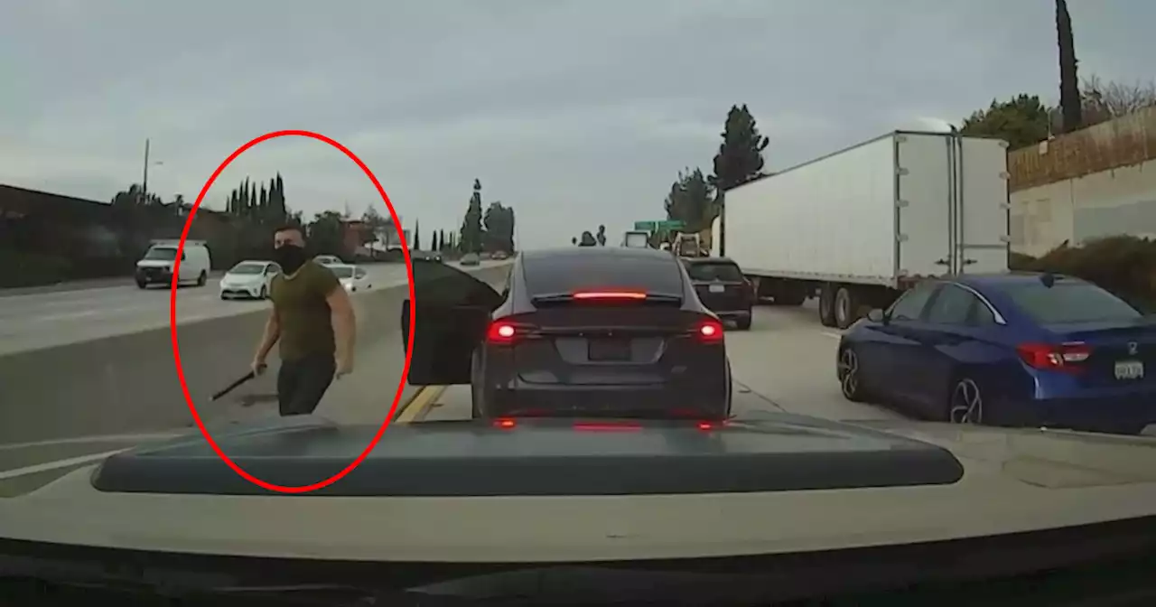 Pipe-Wielding Tesla Maniac Attacks Fellow Driver in Los Angeles