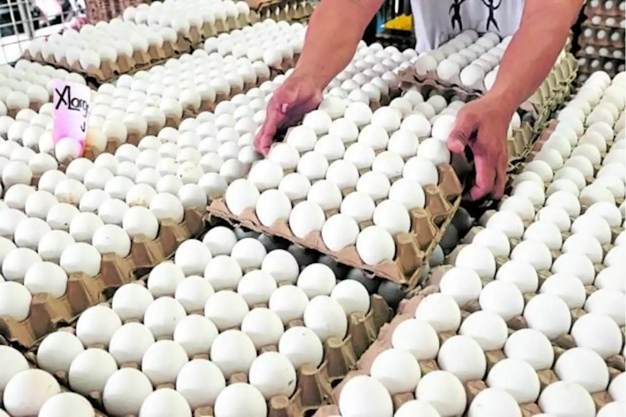 Business, consumer groups urge gov’t to act on ‘egg-flation’