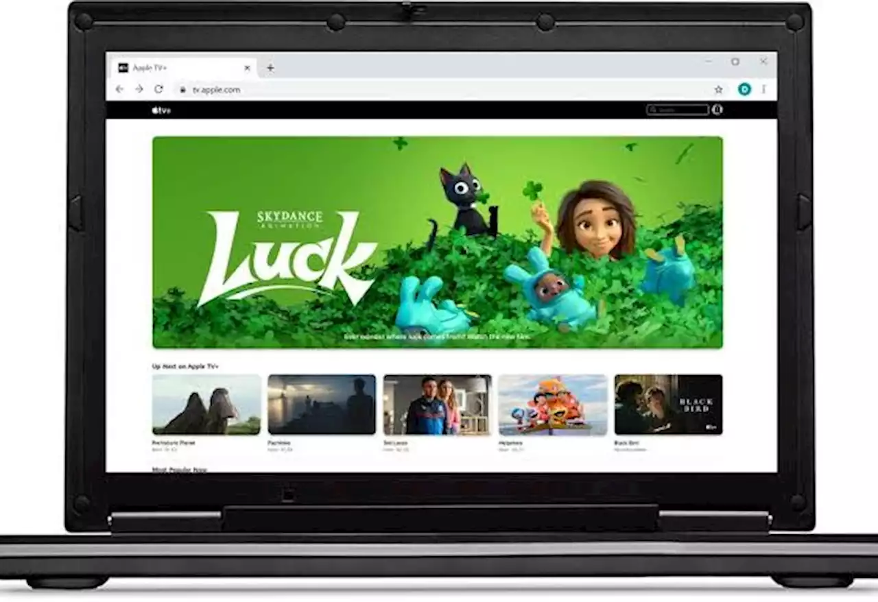 Lintas Platform, Tiga Aplikasi Apple Segera Hadir untuk OS Windows