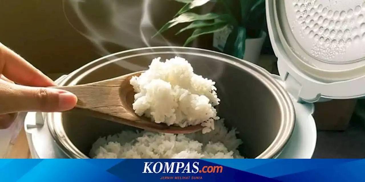 5 Cara Mencegah Nasi Menempel di Panci Rice Cooker