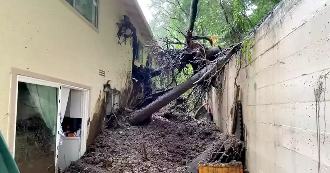 North Bay apartment dwellers displaced by destructive mudslide