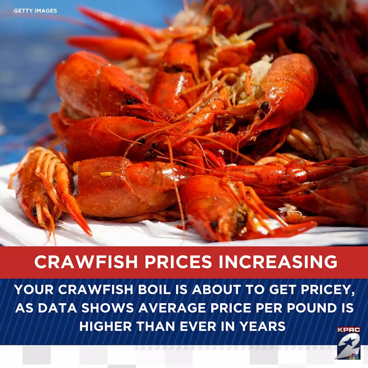 🦞Crawfish prices increasing: Your next boil is about to get expensive