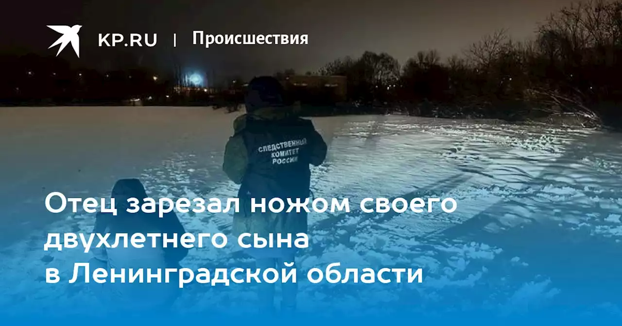 Отец зарезал ножом своего двухлетнего сына в Ленинградской области