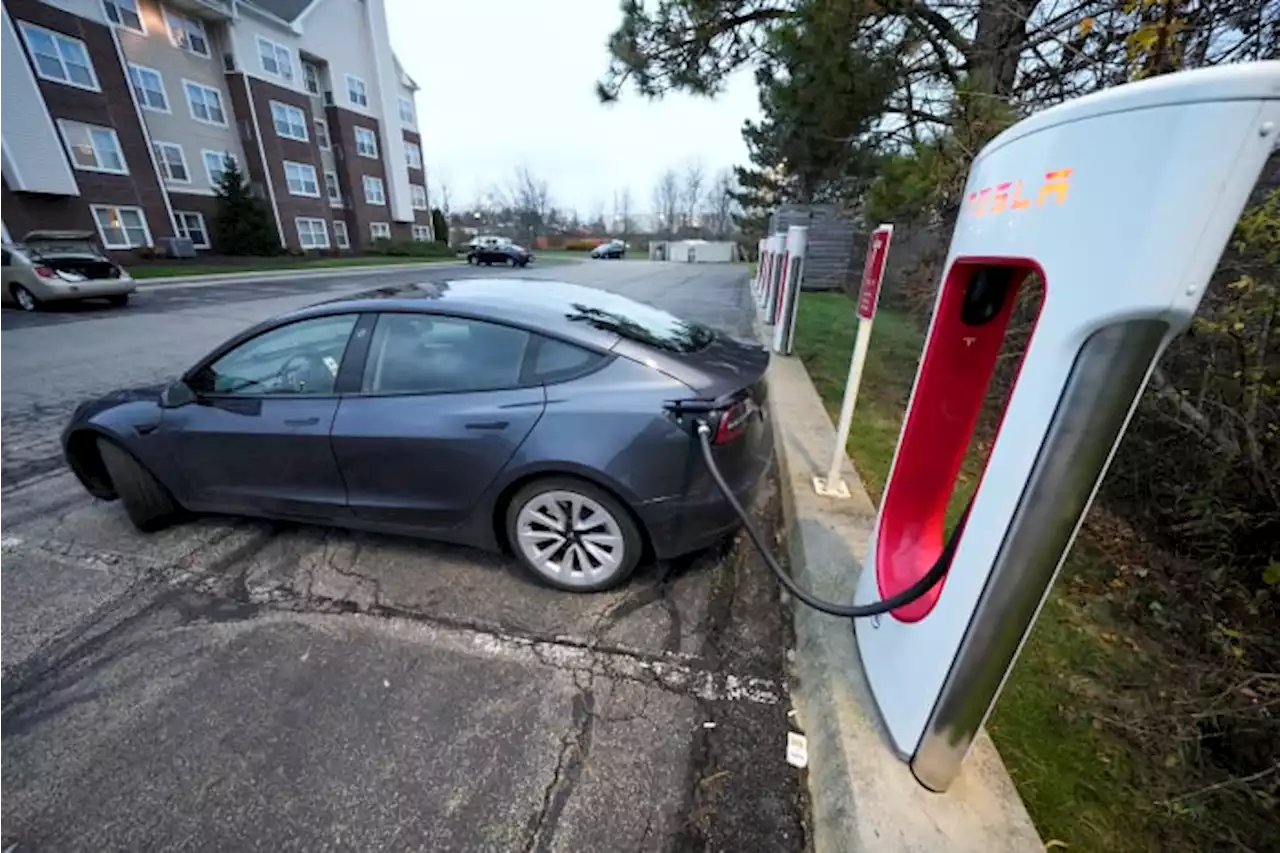 Tesla cuts vehicle prices in bid to boost flagging demand