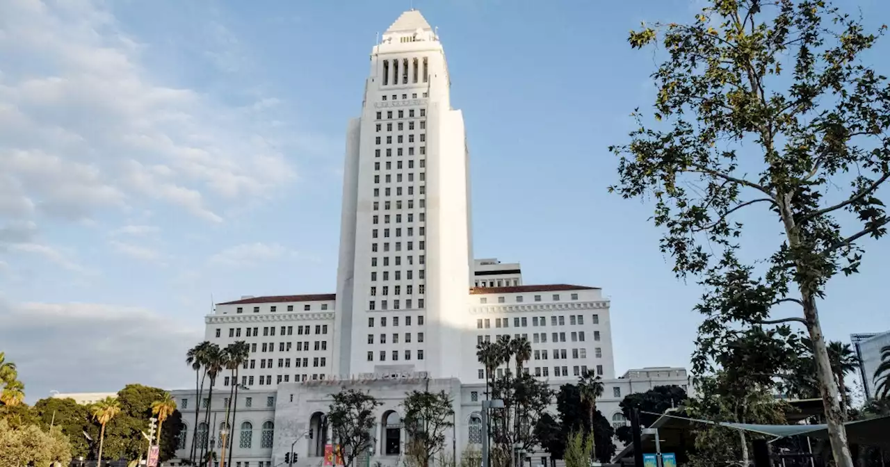 Meet The Candidates For Nury Martinez’s LA City Council Seat