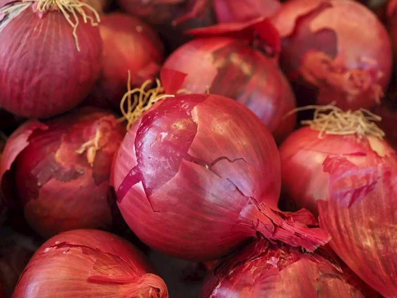 Marcos admin readies ‘calibrated importation’ of onions