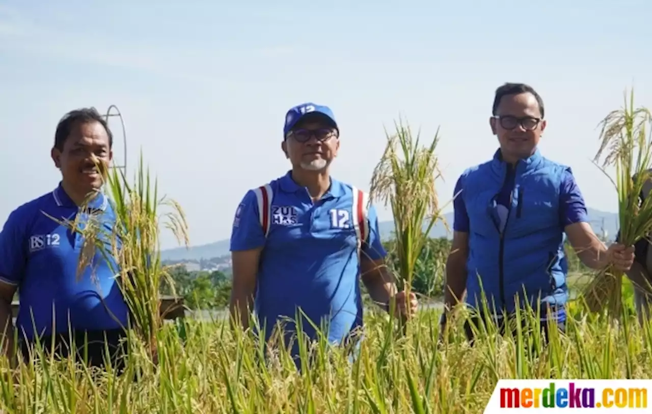 Foto : Mendag Panen Padi Pertama 2023 di Kota Bogor | merdeka.com