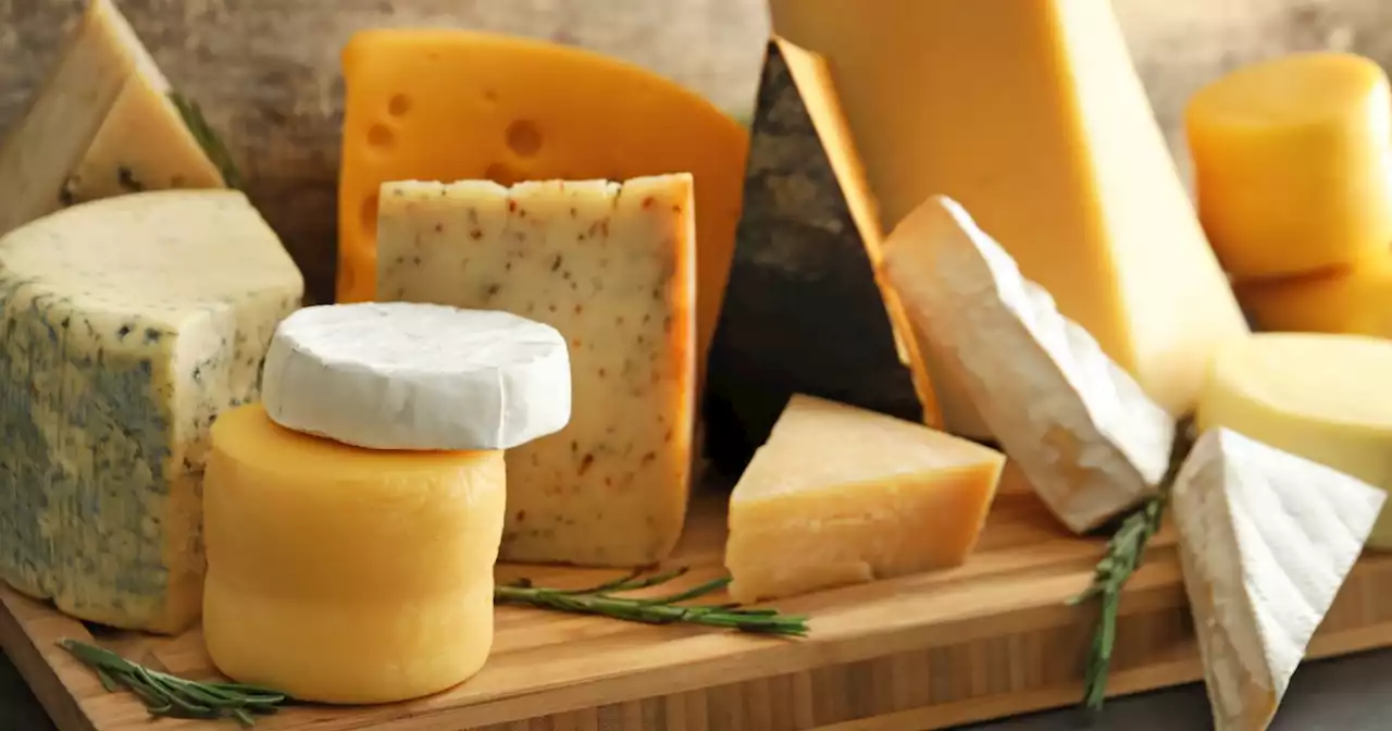 Research suggests cheese might be healthier than you believed