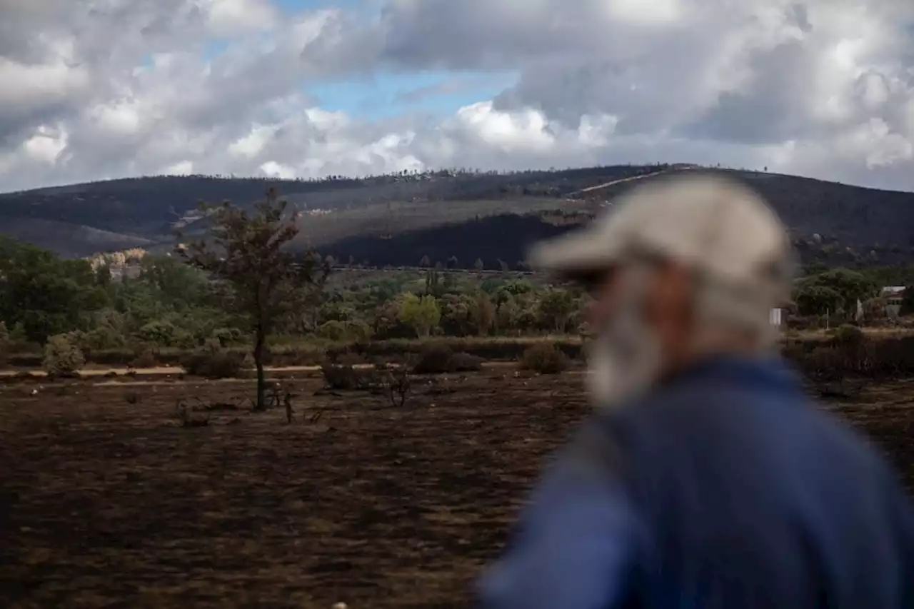 La Fiscalía archiva la causa contra la Junta por el incendio de Zamora en verano