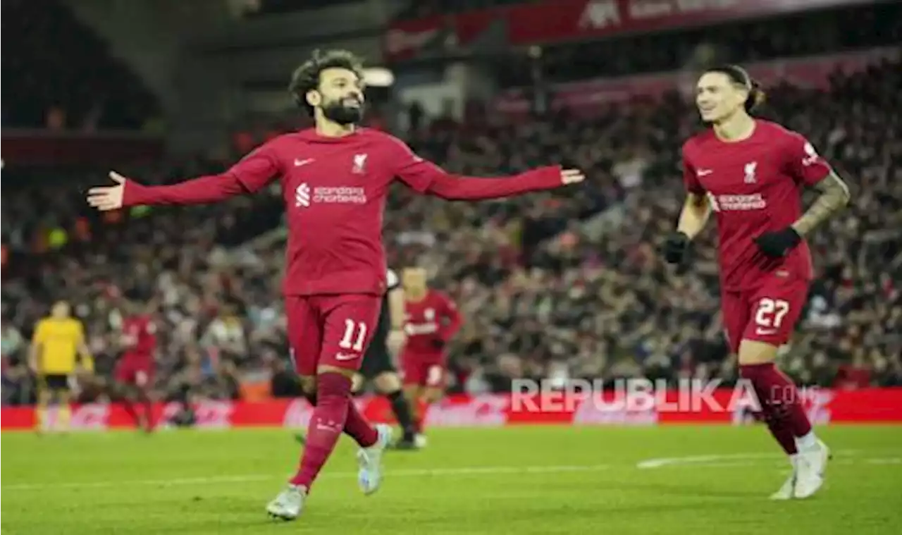 10 Fakta Jelang Laga Brighton Vs Liverpool |Republika Online