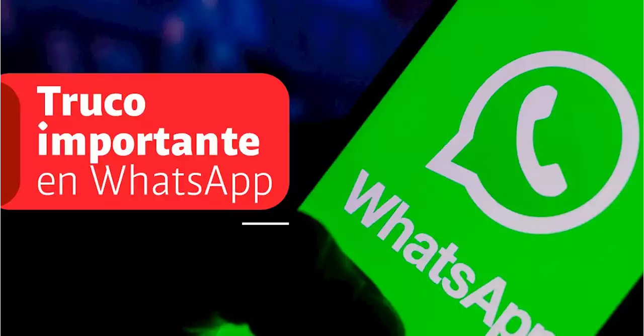 WhatsApp: así puede evitar la descarga automática de fotos y videos en la aplicación