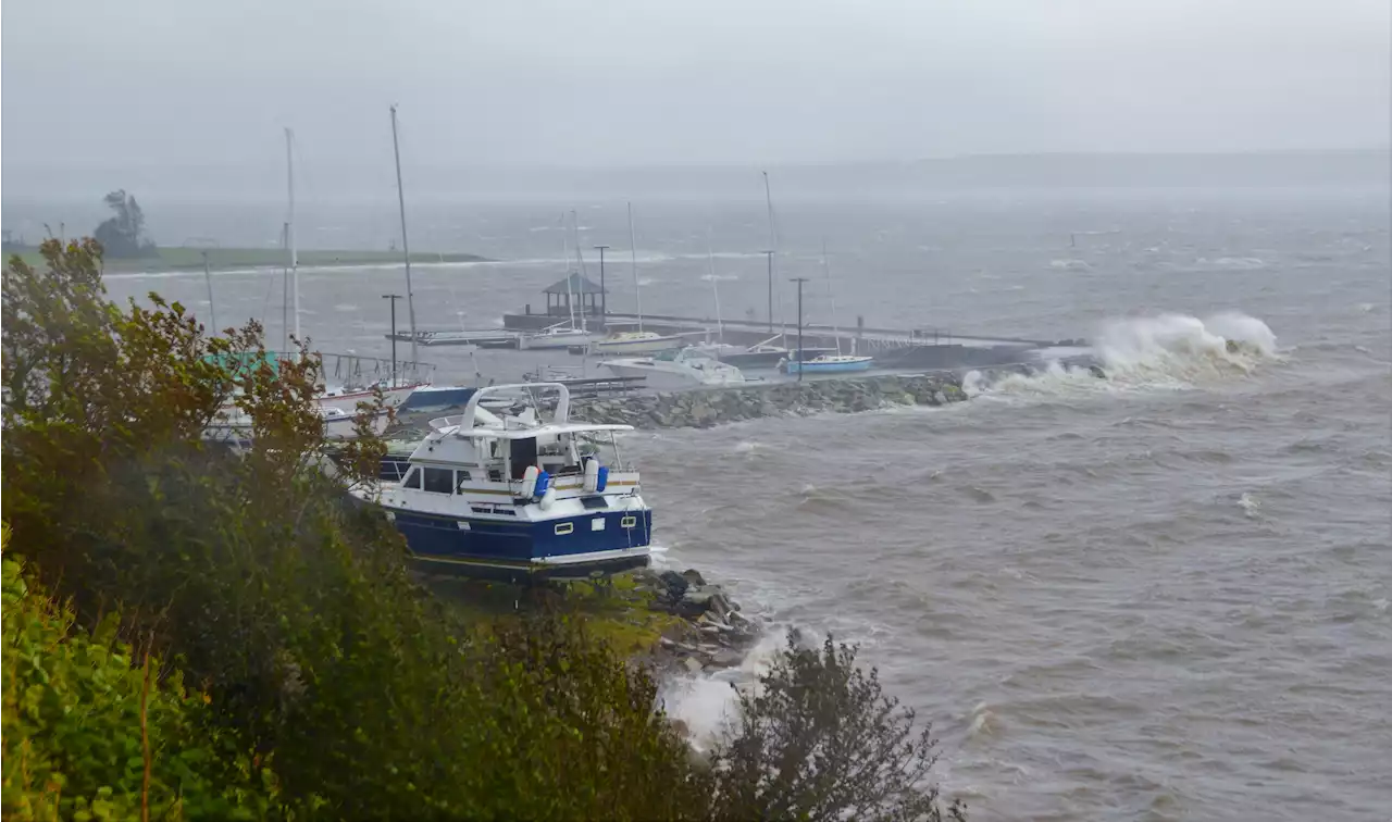 'Too big of a beast to pull back at this point': The clock is ticking on sea level rise and we can't stop it, says Newfoundland expert, so it's time to retreat | SaltWire