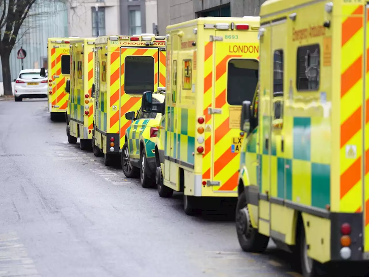 Ambulance staff say they feel ‘demonised’ by Government