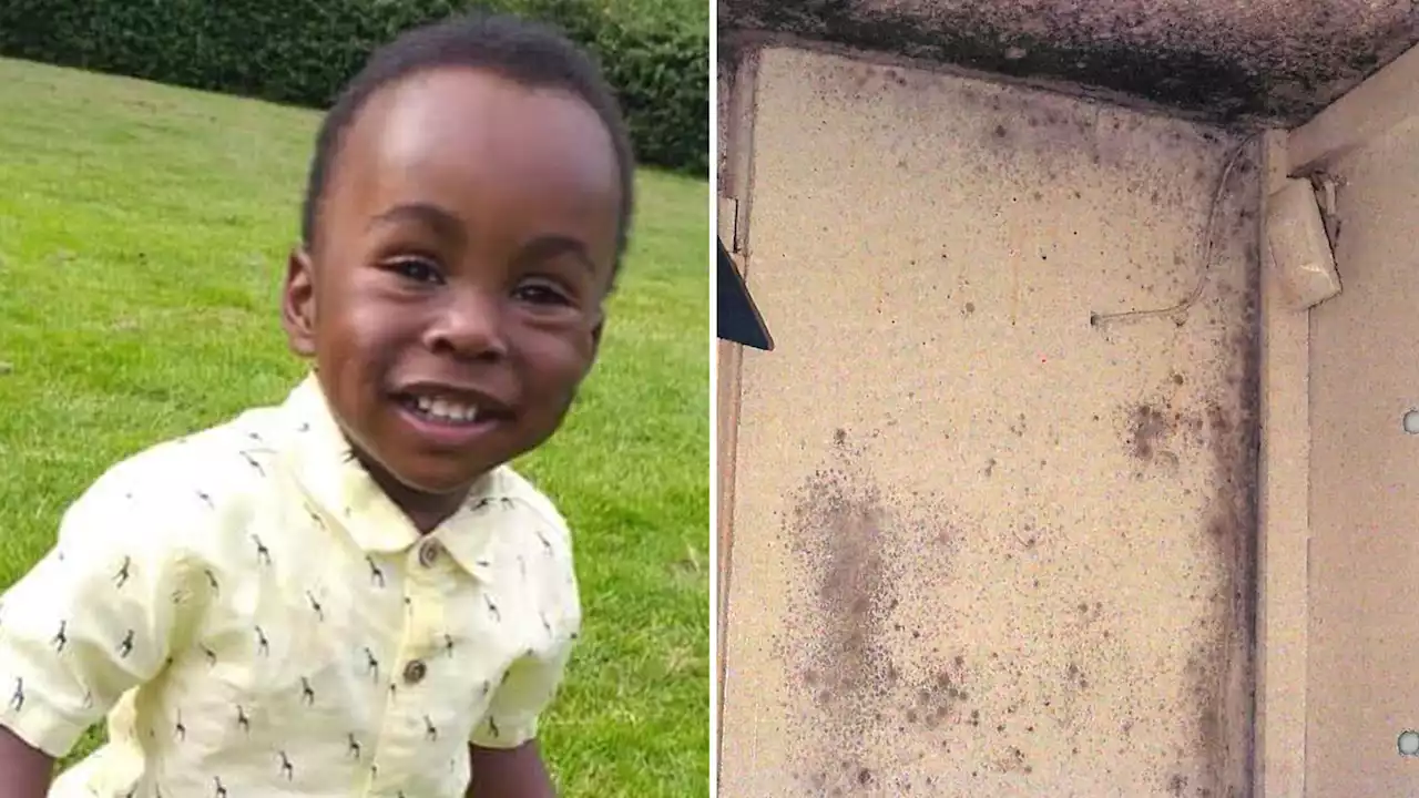 Awaab Ishak: Toddler's death from mould triggers review of landlord guidance