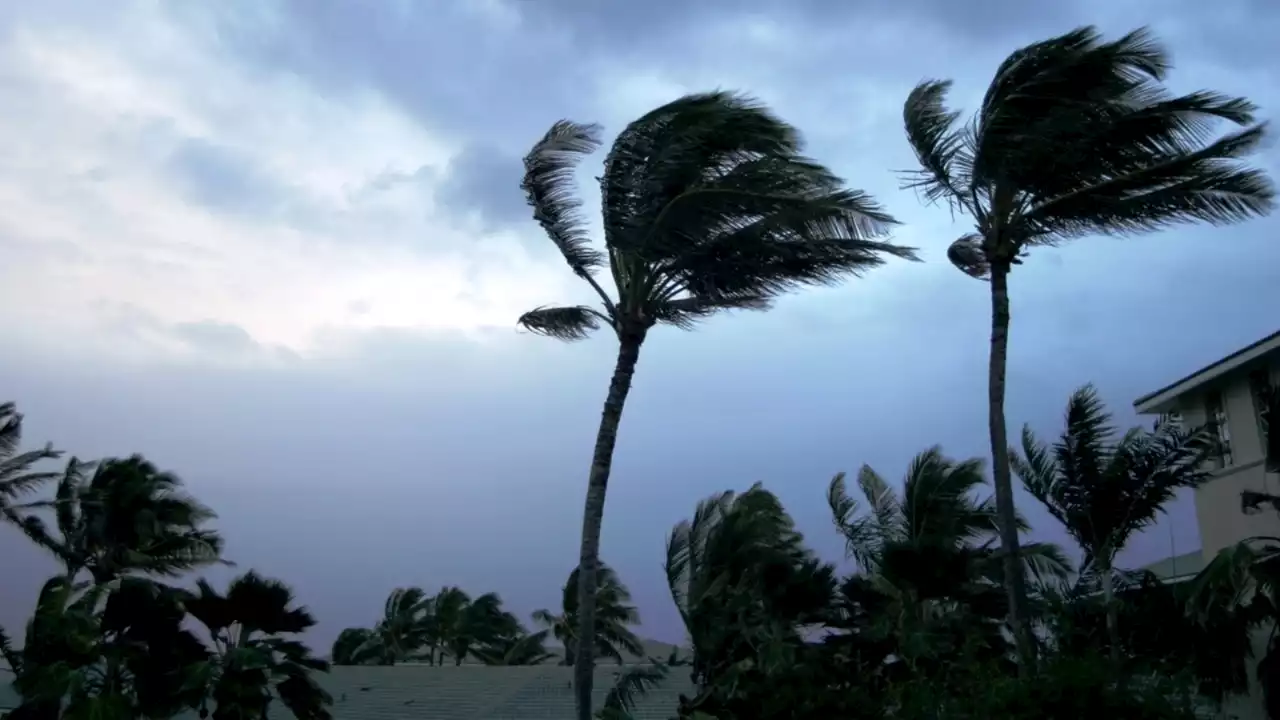 Experts urge people to stay informed during ‘cyclone season’ in Queensland