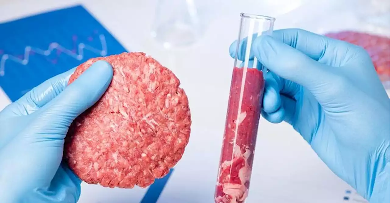 Carne sintetica, l’allarme: richieste di via libera in Europa nel 2023