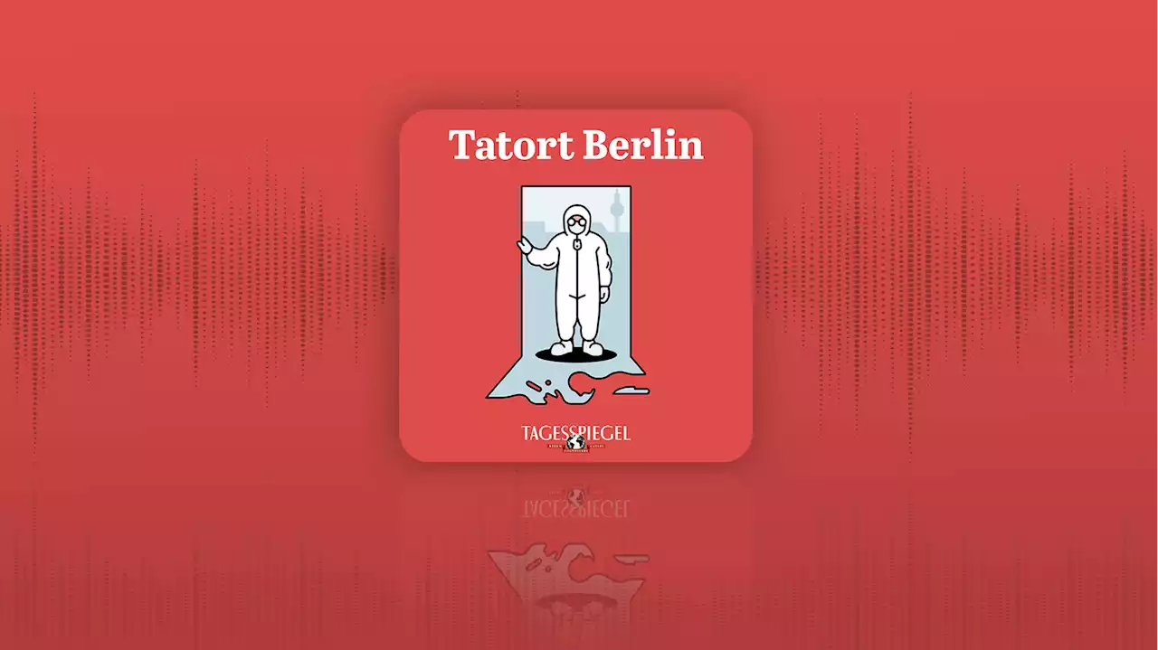 True-Crime-Podcast „Tatort Berlin“ : #20: Der Chef des Morddezernats packt aus