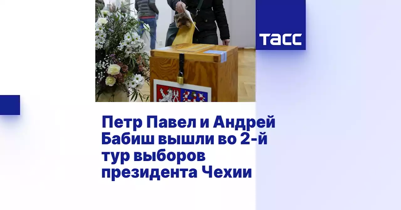 Петр Павел и Андрей Бабиш вышли во 2-й тур выборов президента Чехии