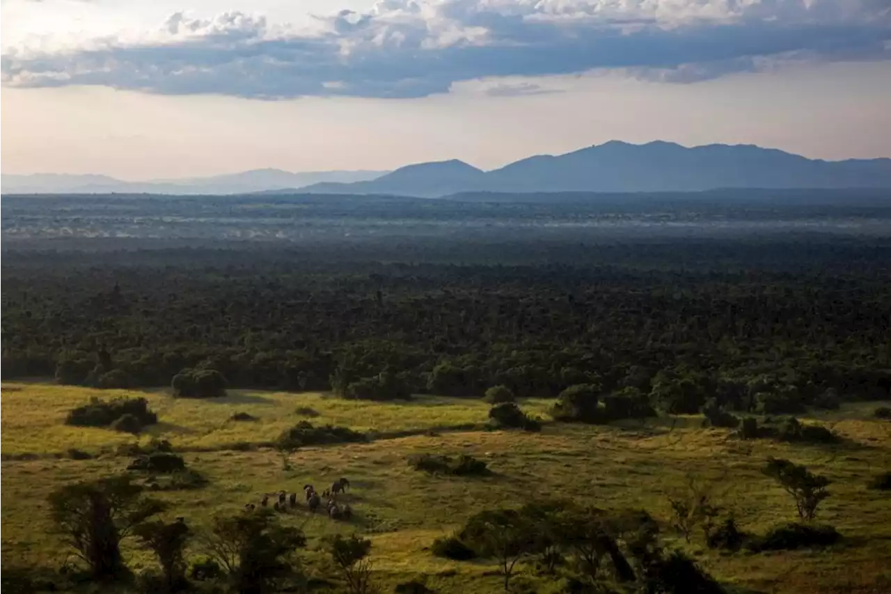 Congo national park’s bitcoin mining bet saved it from going bust: MIT Tech Review