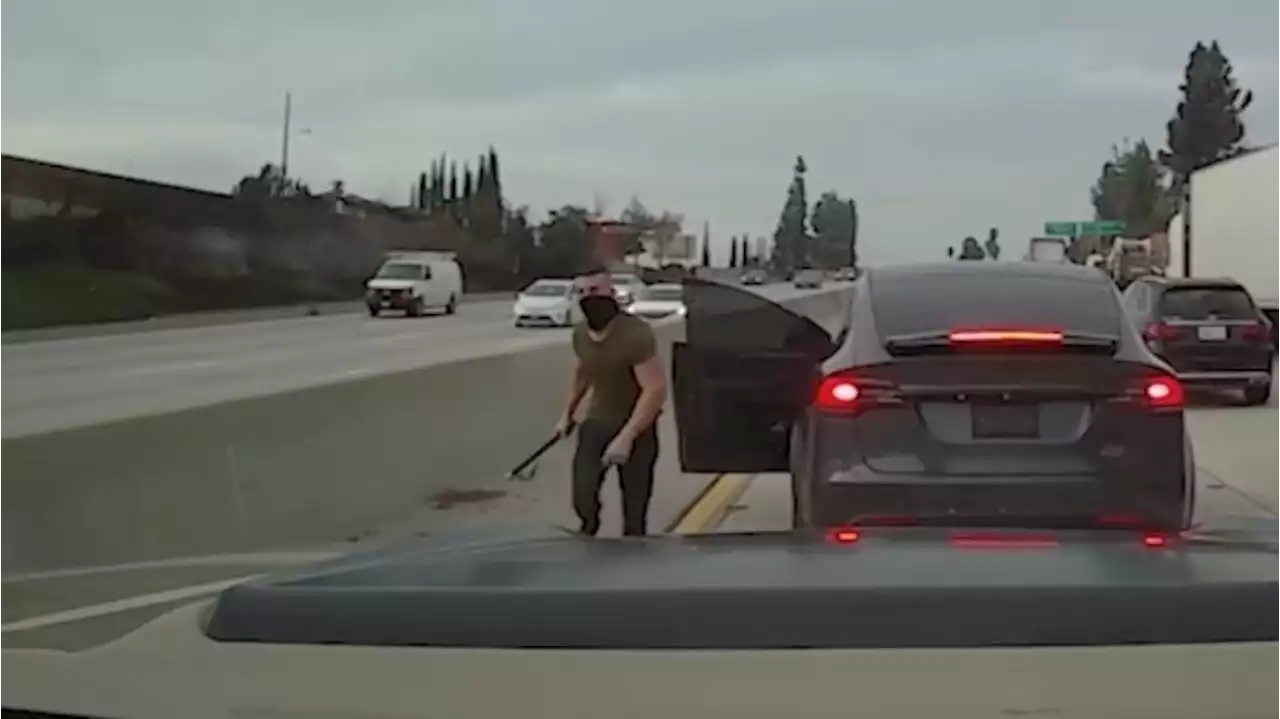 Road-Rage Tesla Driver Rampages Across Southern California