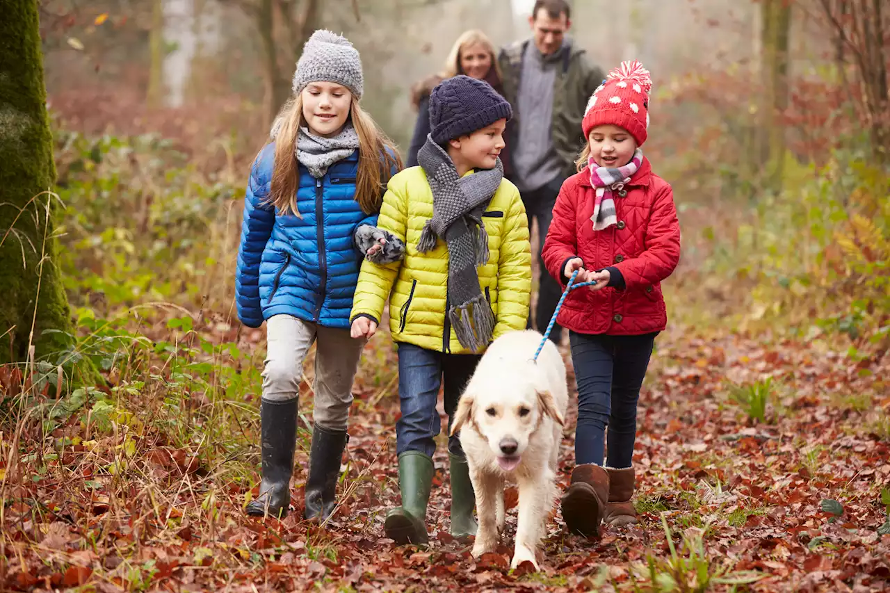 Four ways to kit yourself out for rainy walks without splashing out