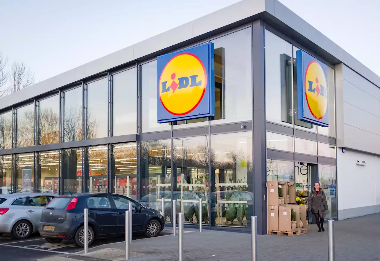 Shoppers save £50 after flocking to Lidl to buy Oodie-style hoodie blankets